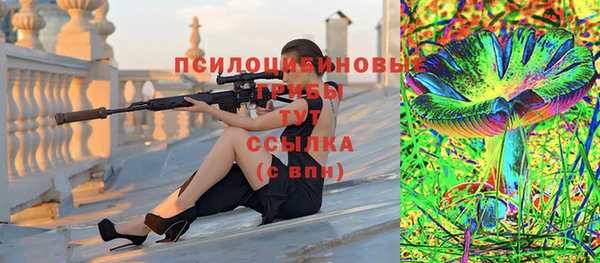 прущие крисы Бородино