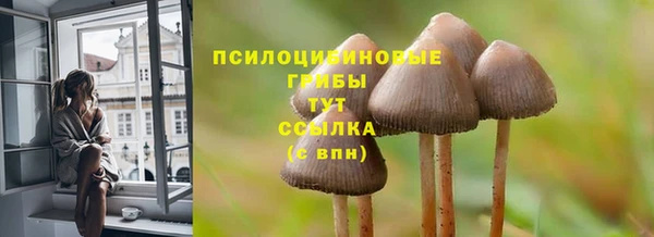 прущие крисы Бородино