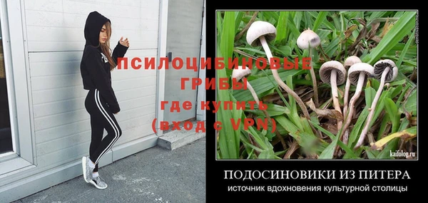 прущие крисы Бородино