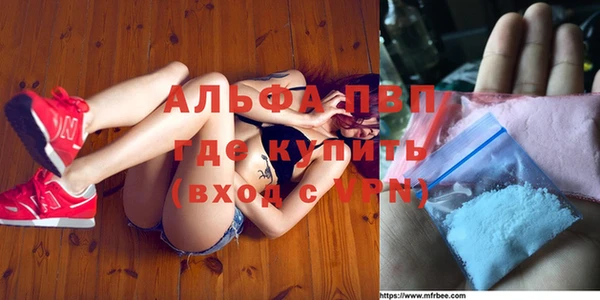прущие крисы Бородино