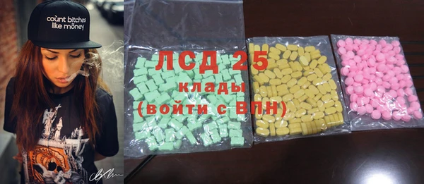 прущие крисы Бородино