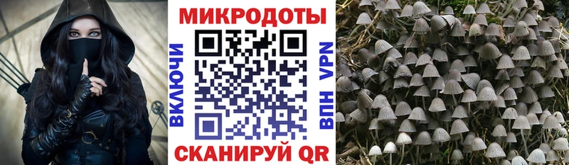 Псилоцибиновые грибы мухоморы  Киселёвск 