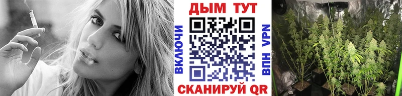 сколько стоит  Киселёвск  Канабис Amnesia 